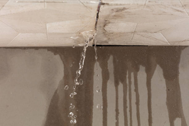 Professional Structural Drying technician working in Lamar, AR